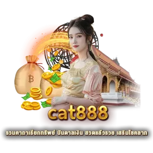 cat888