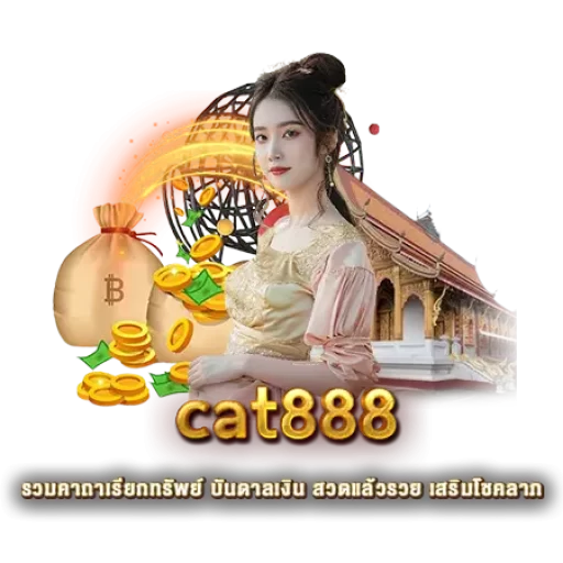 cat888